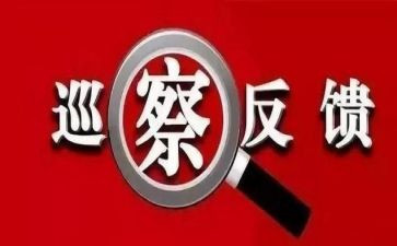 师德自查整改报告模板5篇