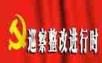 小学整改报告6篇