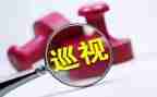 书记整改报告5篇