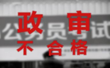 事业编e类政审个人总结8篇