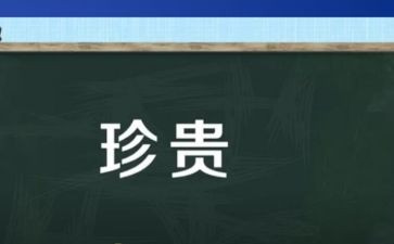 友情最珍贵作文5篇