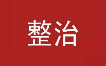 打击整治工作总结5篇