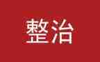 打击整治工作总结5篇