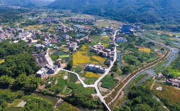 观乡村振兴后心得体会7篇