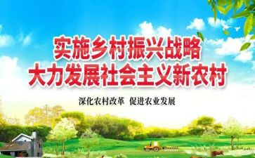 乡村振兴工作总结个人总结精选8篇