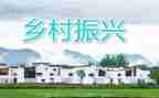 乡村振兴周工作总结6篇