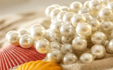 《珍珠》的读后感推荐8篇