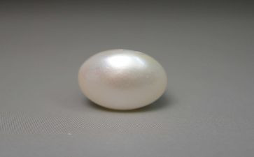 《珍珠》的读后感7篇