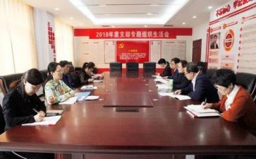 党支部3个人总结通用6篇