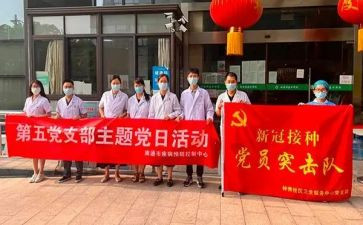 党支部半年工作总结6篇