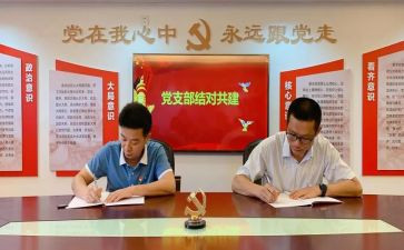 党支部年终总结个人精选5篇