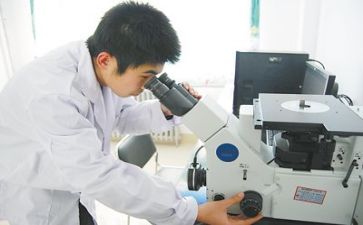 数质量工作总结8篇