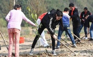 植树节活动总结稿8篇