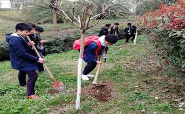 学校植树活动总结6篇