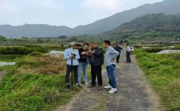 党分支书纪年终总结7篇
