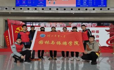 校青年志愿者工作总结参考7篇