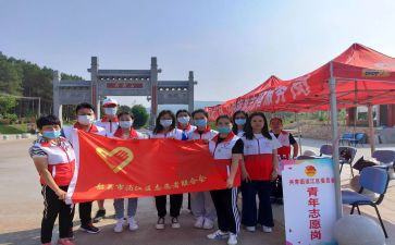 志愿青年活动总结8篇