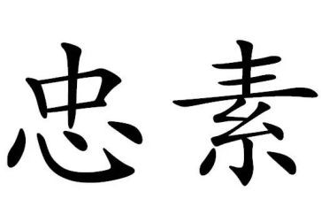 忠的心得体会500字模板7篇
