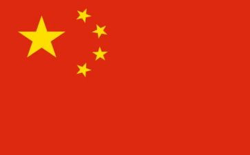 2024年我的中国年作文5篇