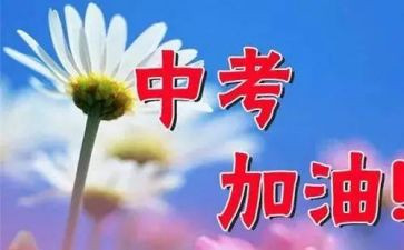 小中考工作总结6篇