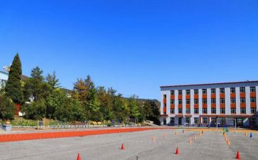 中心校办公室工作总结5篇