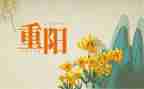 重阳节幼儿园活动方案最新6篇