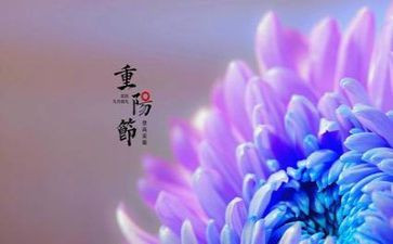 重阳节的事作文400字8篇