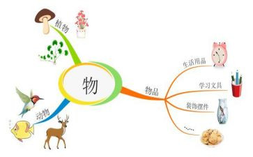 初中状物作文优秀5篇