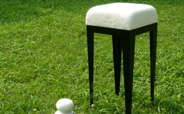 初中状物作文优质8篇