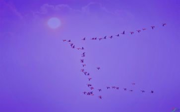 学科专业导论心得体会6篇