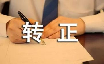 销售转正的个人总结最新6篇