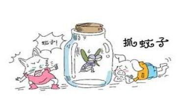 抓蚊子作文600字推荐8篇