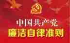 关于党内政治的若干准则心得体会7篇