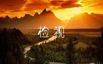 学校自检自查报告6篇