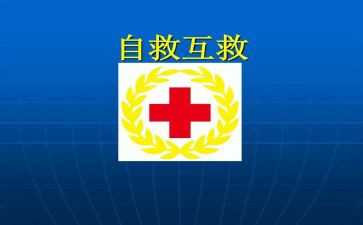 自救器培训心得体会5篇