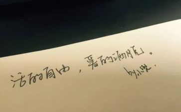 自由账心得体会8篇
