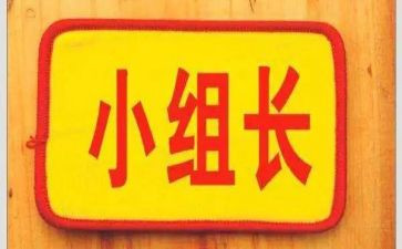竞选组长演讲稿8篇