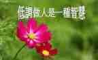 做人与作文作文模板5篇