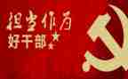 敢作为敢担当心得体会5篇